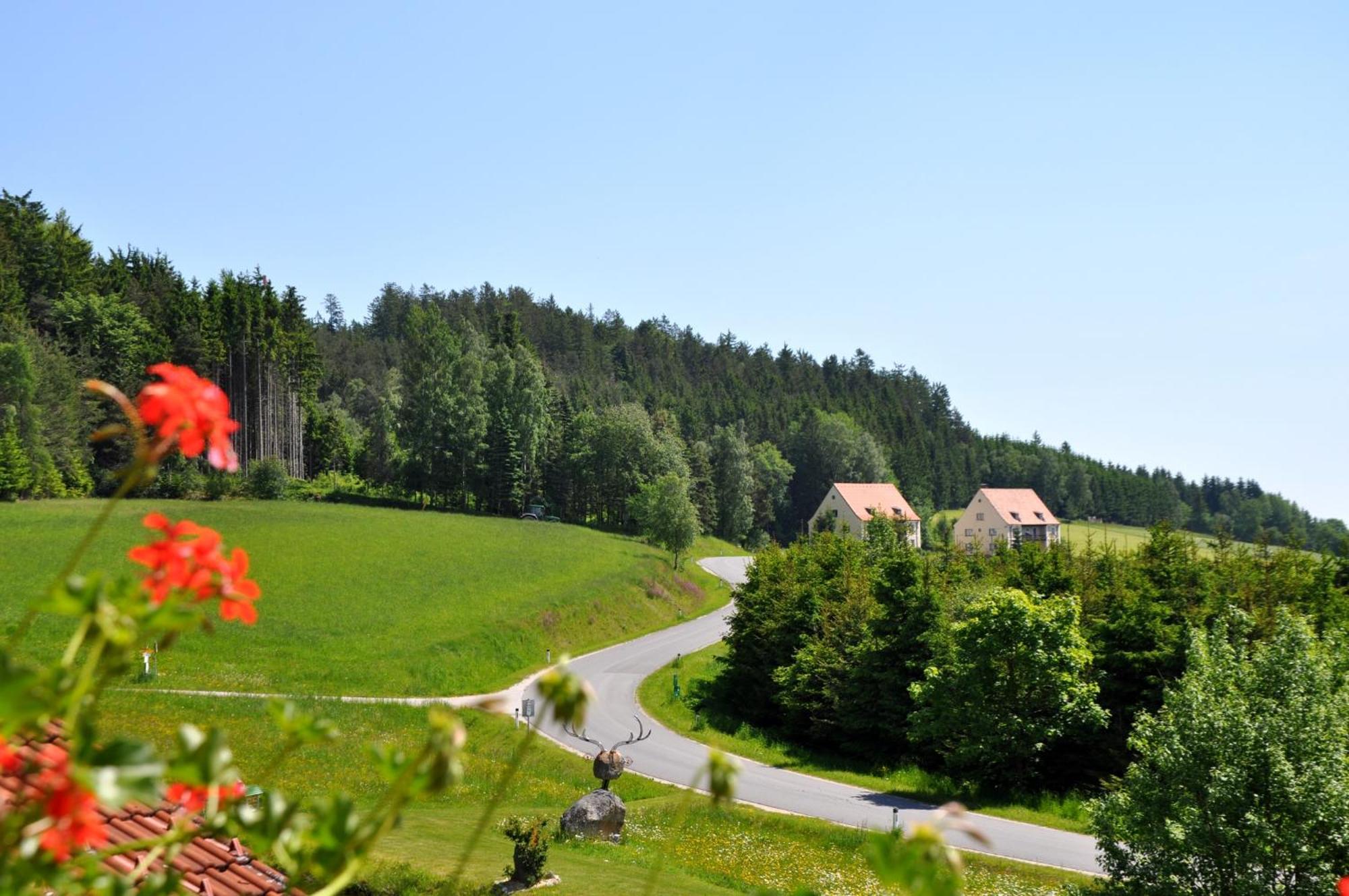 Cafe-Pension Kristall Hirschenwies ภายนอก รูปภาพ